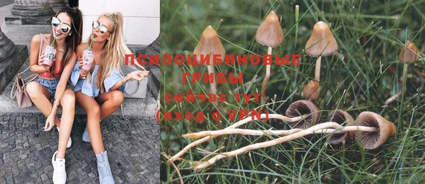 прущие крисы Беломорск
