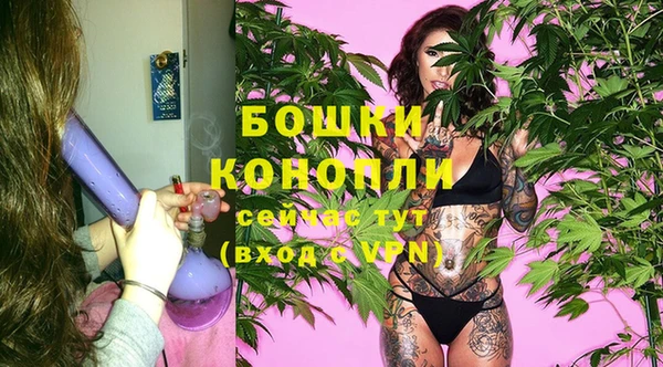 spice Богородицк