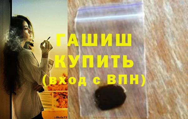 spice Богородицк