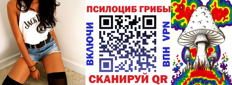 закладка  Бологое  Галлюциногенные грибы мухоморы 
