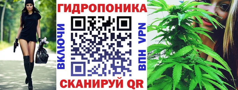 дарнет шоп  Бологое  Каннабис ГИДРОПОН 